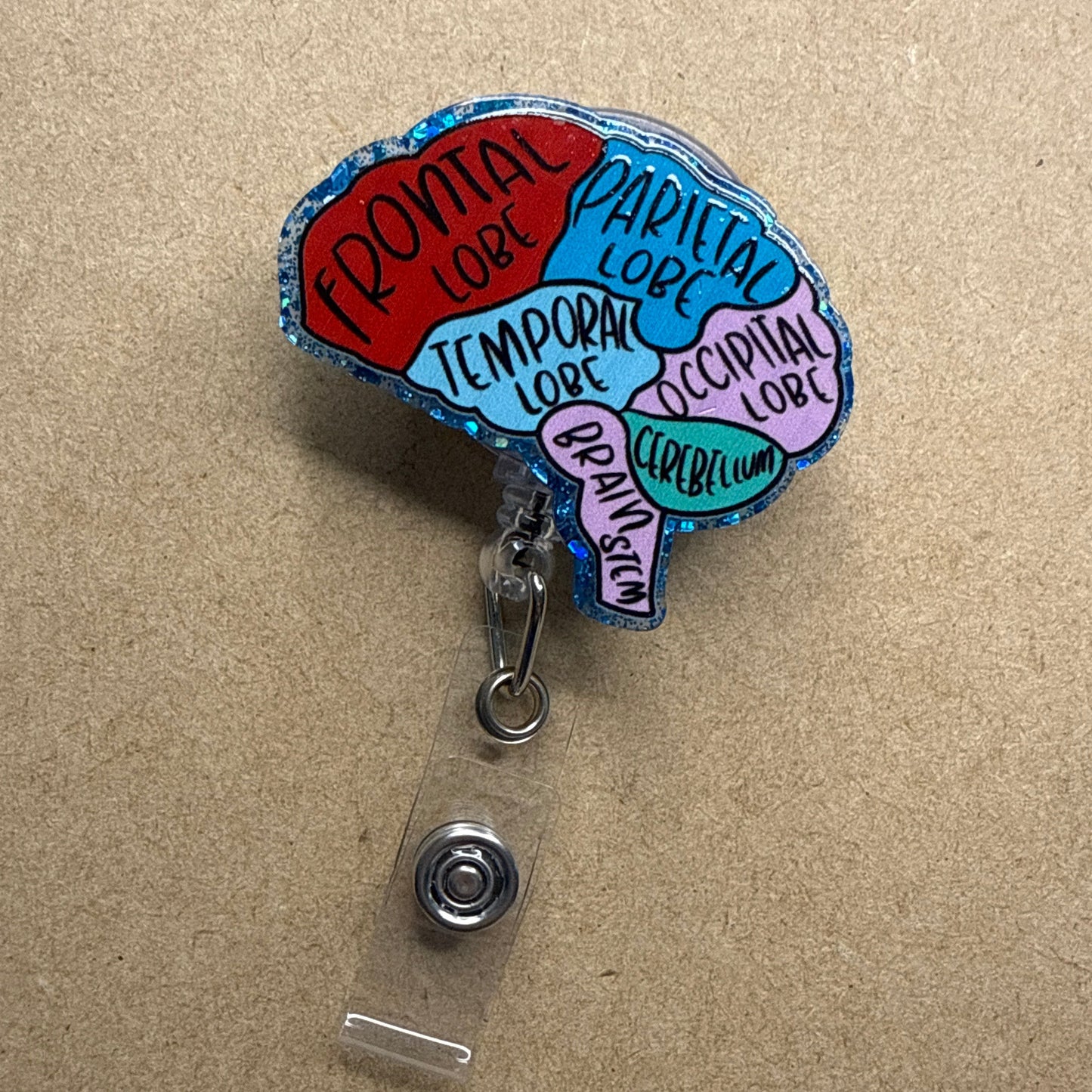 Brain Anatomy