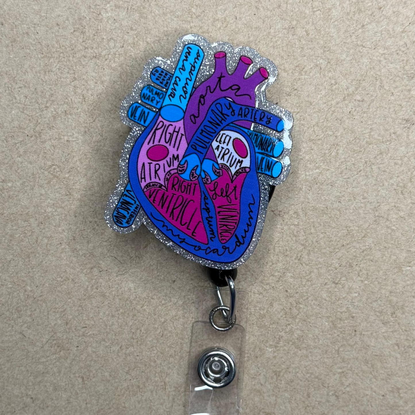 Heart Anatomy