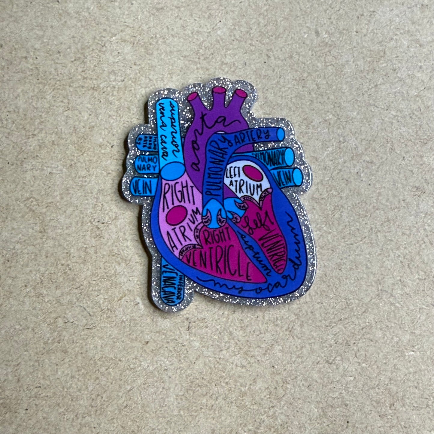 Purple Aorta Heart Anatomy