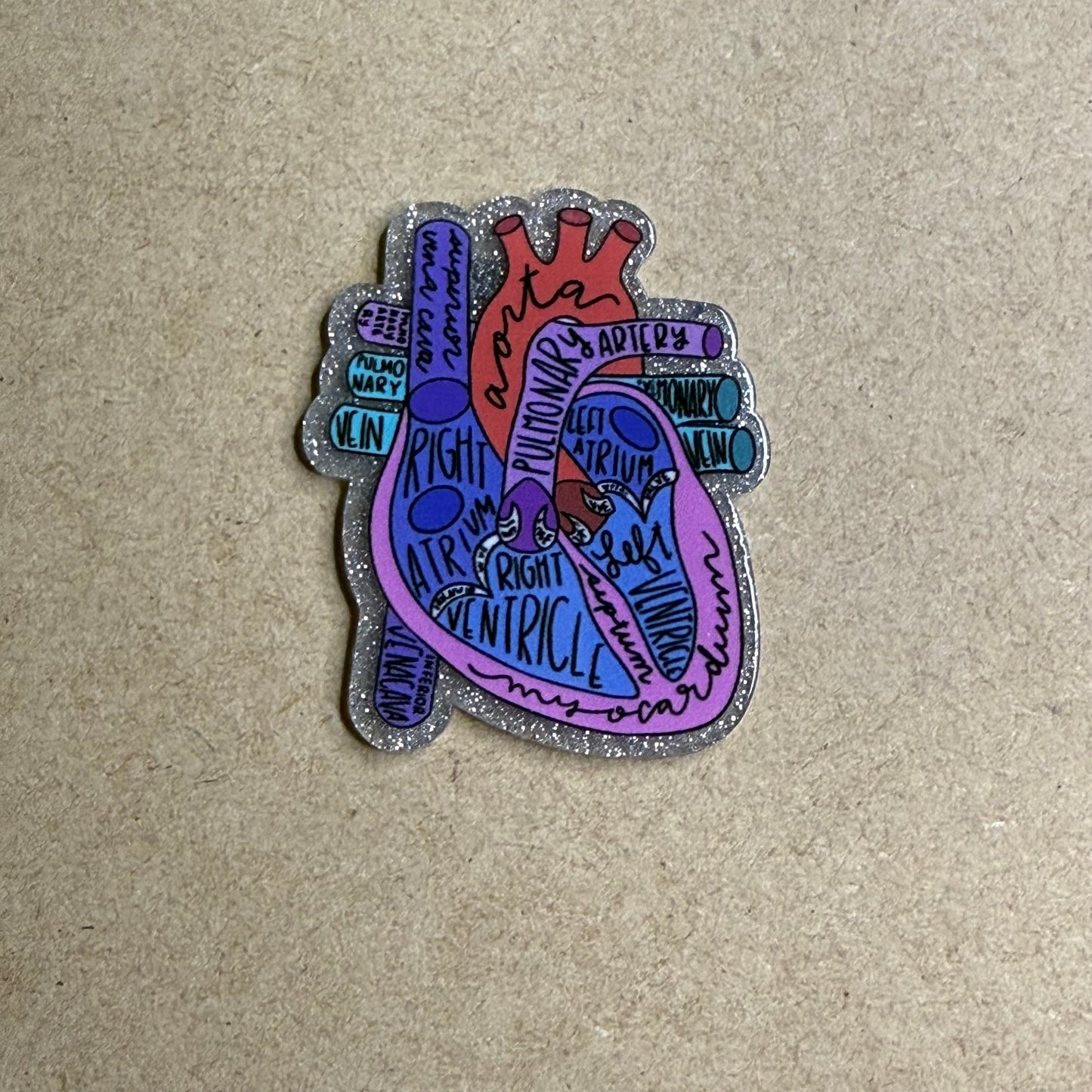 Red Aorta Heart Anatomy