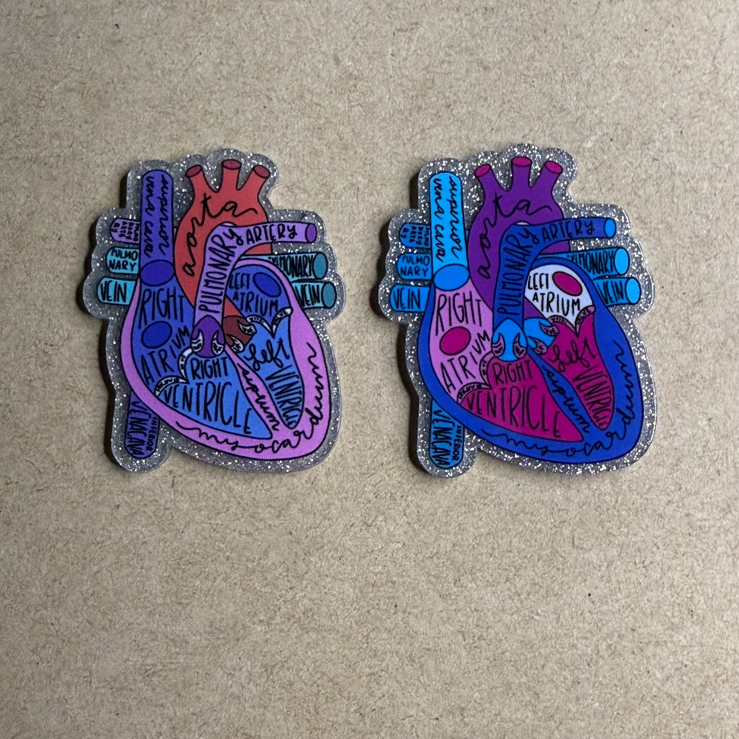 Purple Aorta Heart Anatomy